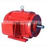 NEMA STANDARD 300KW VHS MOTOR PYCH355/300-4 thumbnail-1