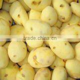 Stainless Steel Electric Potato Peeling Machine thumbnail-4