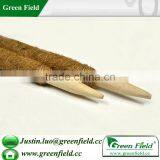 Eco Coconut Pole Plant-Stake Support thumbnail-1