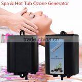 0-4 Hrs Timer 300 Mg/h Hot Tube Spa Ozonator Water Purifier for Hot Tub