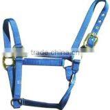 Horse Halter thumbnail-1