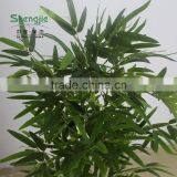 CHY030929 Large Artificial Lucky Bamboo Plant Pole Cheap thumbnail-5