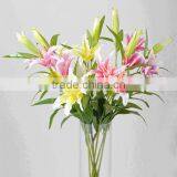 SJ1012015 Plastic Silk Lily Flowers Wedding Decoration Flower thumbnail-6