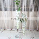 CHY012818 Wisteria Blossom Flower thumbnail-2