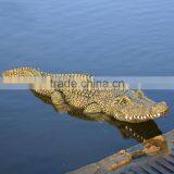 Wholesale Outdoor Garden Decoration Promotion Life Size Crocodile Fiberglass Animals for Sale thumbnail-5