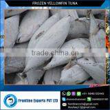 Top Quality Frozen Yellow Fin Tuna Loins for Sale thumbnail-1