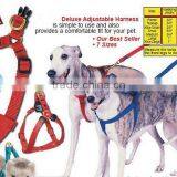 Pet Collar thumbnail-1