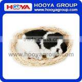 PET MAT PLUSH WITHOUT SOUND thumbnail-1