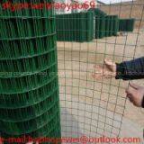 euro fence/holland wire mesh