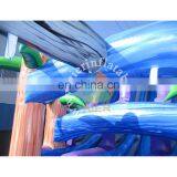 New Fashion Giant Inflatable Water Slide,inflatable Colorful Water Slide,Double Tube Inflatable Water Slide thumbnail-2