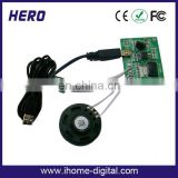 LED for Christmas gift sound module