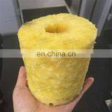 DRB-BL1 Mini Pineapple Peeler Cutter/Portale Pineapple Peeling Coring Machine for Hotels thumbnail-3