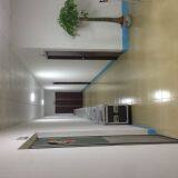 Foshan Dazzling Stage Lighting Equipment Co., Ltd. company overview - view 3 thumbnail