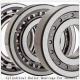 NTN  SL04-5024NR SL Type Cylindrical Roller Bearings for Sheaves