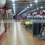 Gym Studio Using TZ-4022 Bodybuilding Equipment Glute Extension thumbnail-3