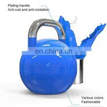 TEZEWA Factory Directly Sale Wholesale Kettlebells Colors Kettle Bells Custom Kettlebell For Fitness thumbnail-5