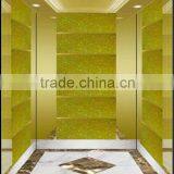 Competitive Price for Passenger Elevator With Excellent Quality WP30-7