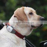 New Mini Waterproof Gps Pet Dog GPS Tracker Appello 4P Factory Price thumbnail-1