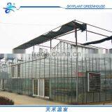 Venlo Glass Green House for Flowers thumbnail-4