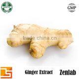 Natural 5% Ginger Extract Powder thumbnail-6