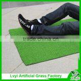 Landscape Decoration Chinese Artificial Grass thumbnail-1