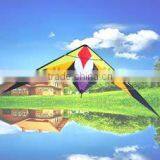 Dual Line Delta Stunt Kites - Curved Edge Kites thumbnail-1