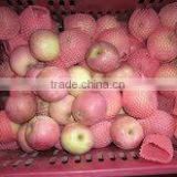 Fresh Shanxi Fuji Apple