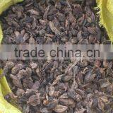 Black Cardamom From Viet Nam thumbnail-2