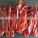 BEST QUALITY RED CHILI EXPORTER thumbnail-5