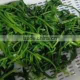NEW SEASON FROZEN SPINACH LEAVES thumbnail-3