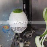 Industrial Automatic Citrus Pomelo Grapefruit Peeler Peeling Machine thumbnail-5