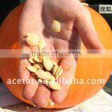 Pumpkin Seed Extract Powder/ISO9001,Kosher,