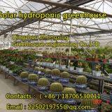 Grass Greenhouse, We Are Professional！ thumbnail-2