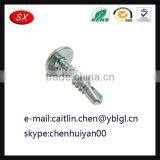 Dongguan Hardware Factory Custom Steel Screw thumbnail-4
