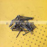 Common Nails/common Iron Nail Factory From China thumbnail-3