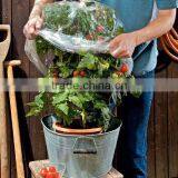 PE Agricultural Tomato Tube Green House With Holes thumbnail-4