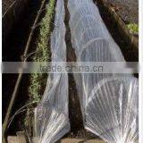 Qingdao High Quality PE Tube Flm for Plantation thumbnail-1