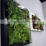 artificial grass wall manufacturer good price (fz-31) excellent plant wall