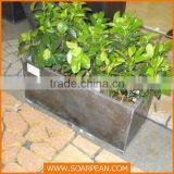 Latest Outdoor Decorative Fiberglass Giant Flower Pot thumbnail-4