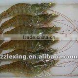 Frozen Vannamei Shrimp