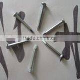 Concrete Nail thumbnail-1