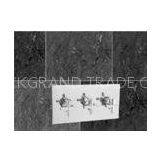 Cross Handle Brass 2 Way Thermostatic Shower Valve With Rectangle Plate thumbnail-1