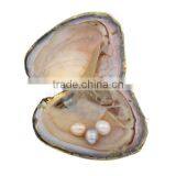 2017 New Mixed Colors Freshwater Cultured Pearl Oyster With Rice Shape thumbnail-2