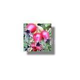 Rose Hip Powder(sales22 at Lgberry Dot Com Dot Cn)