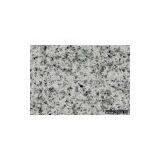 Grey Granite (grey Stone ,light Grey Granite) G603 thumbnail-1
