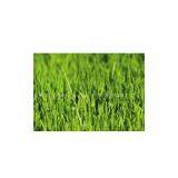 Nutritional Agent for Lawn Bottom Soil thumbnail-1