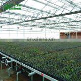 Commercial Agricultural Greenhouse Movable Nursery Bench thumbnail-5