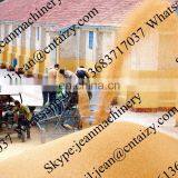 Professional Sieving Machine for Rice / Millet Winnowing Machine for Home Used /cocoa Winnower Machine thumbnail-3