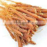 Red Ginseng With Tails,6-7g per Piece,6 Years Root
