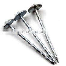 China Supplier Roofing Nails Suppliers in China With High Quality and Low Price Insulated thumbnail-1